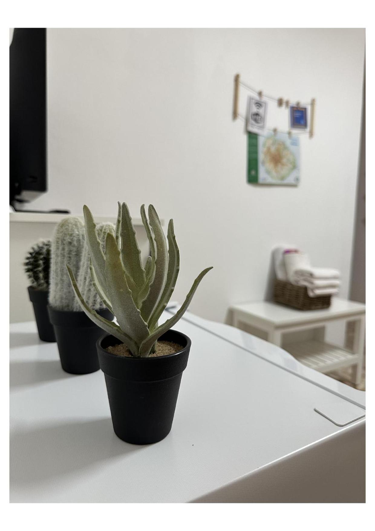 Apartamento Fortaleza 바예에르모소 외부 사진